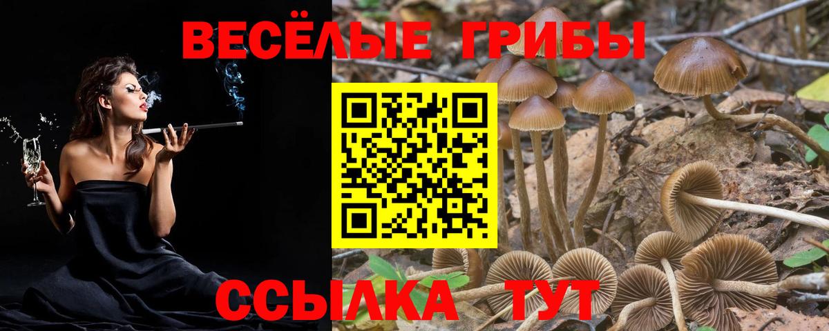 Галлюциногенные грибы мицелий Михайловка