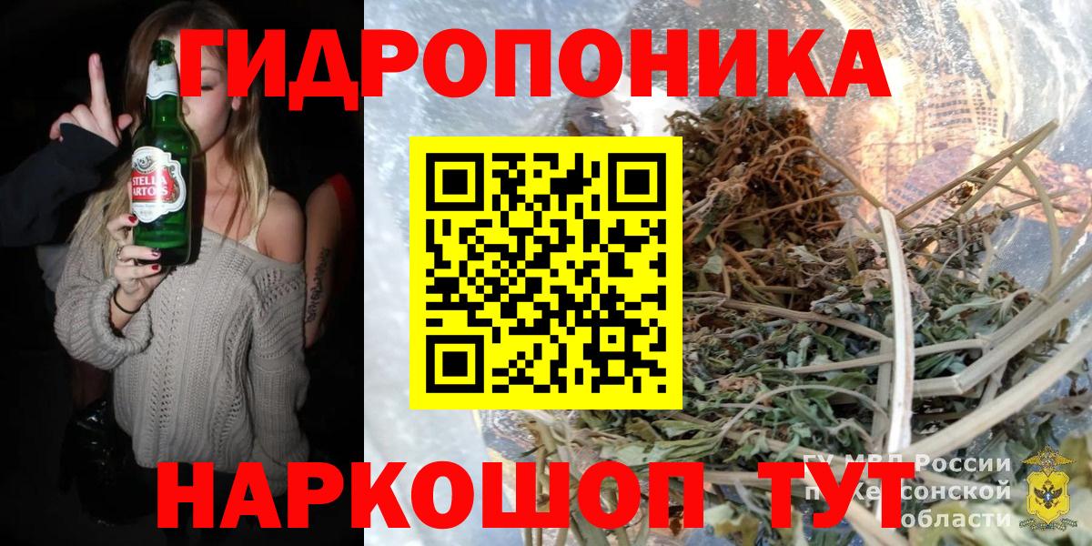 Конопля сатива Михайловка